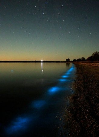 Невероятное неоновое озеро